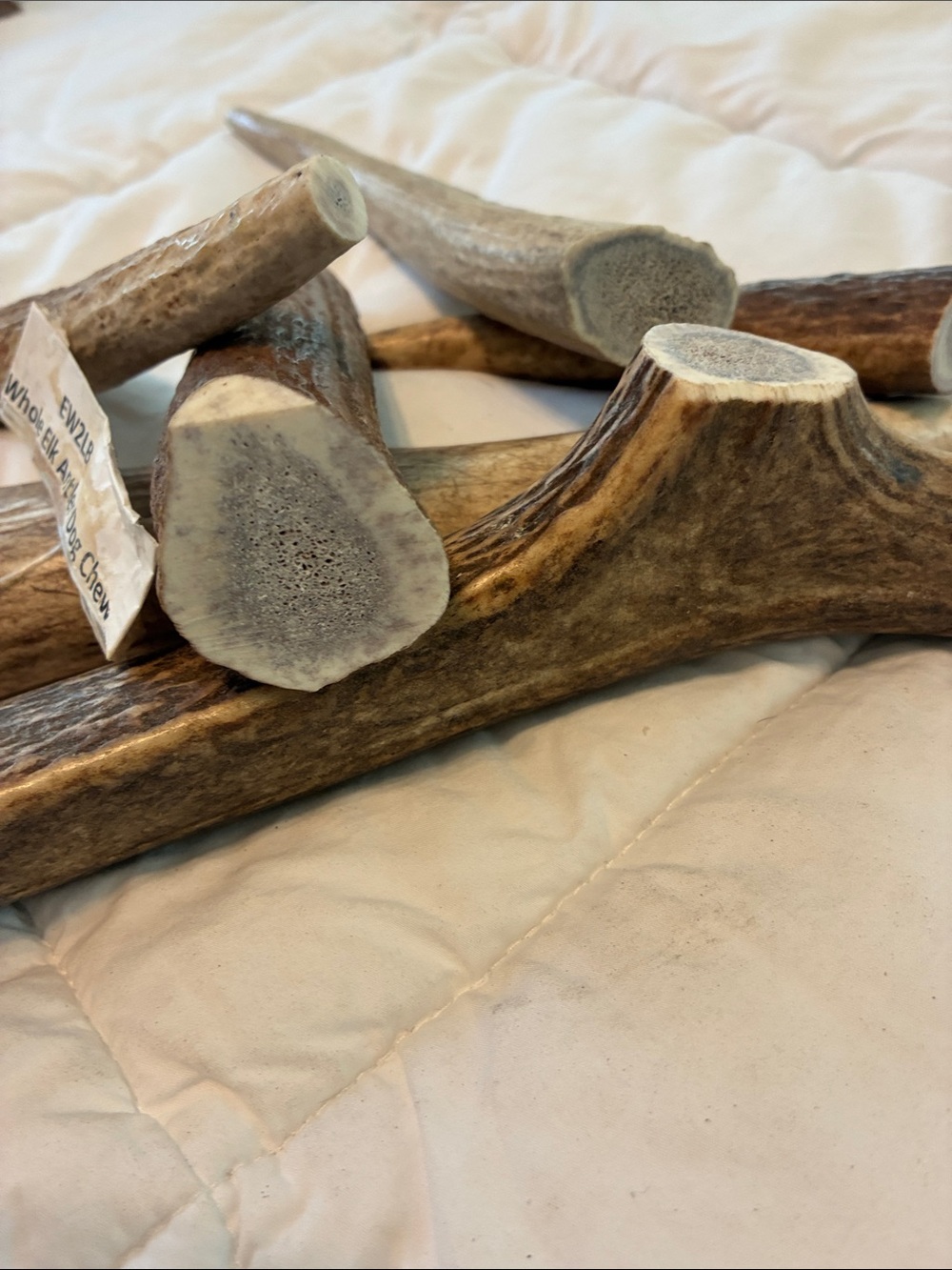 Elk Antler Chew for Dogs - Large - Picture 4 of 4
